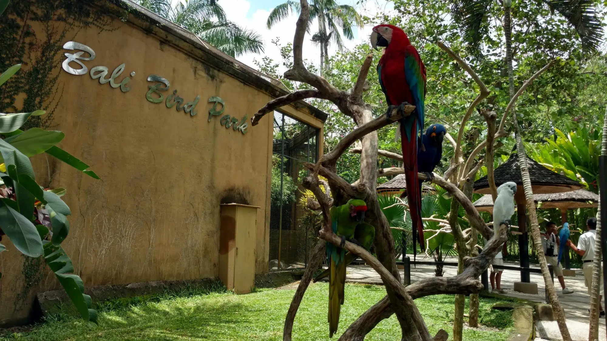 Bird Park