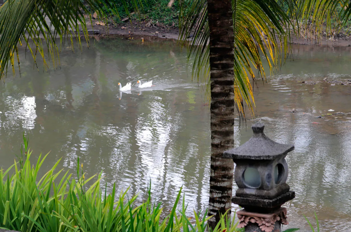 gallery adi dharma hotel kuta